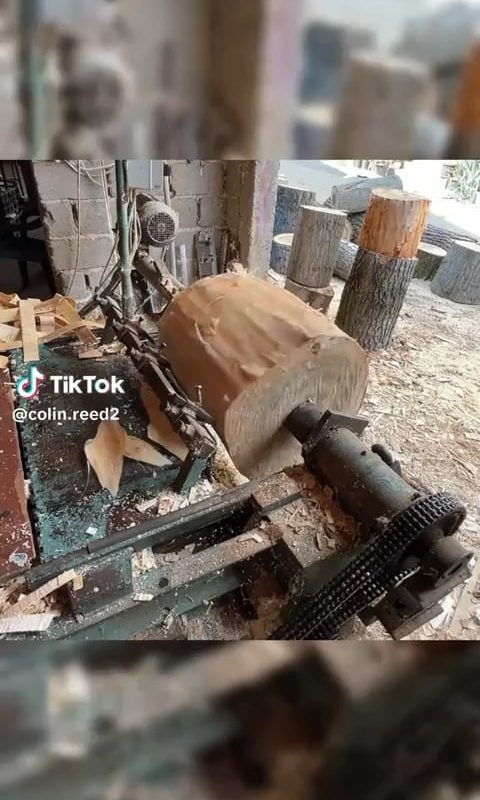 Peeling a log Im entranced