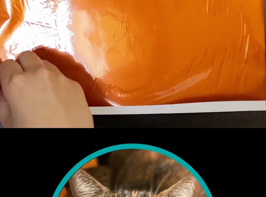 Peeling the foil off of my portrait of Data the cat (OC)