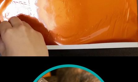 Peeling the foil off of my portrait of Data the cat (OC)