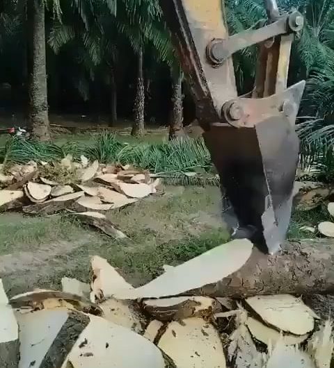 Perfect machine handling when shredding trees