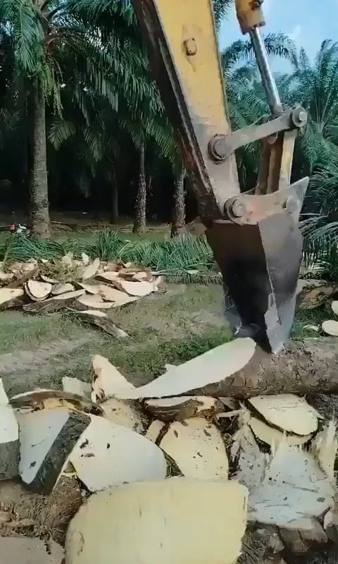 Perfect machine handling when shredding trees