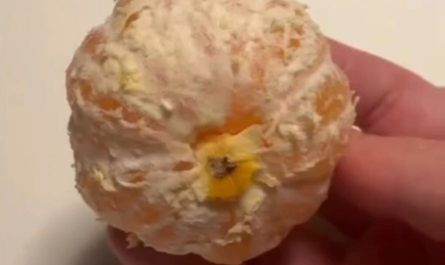 Perfectly peeled orange