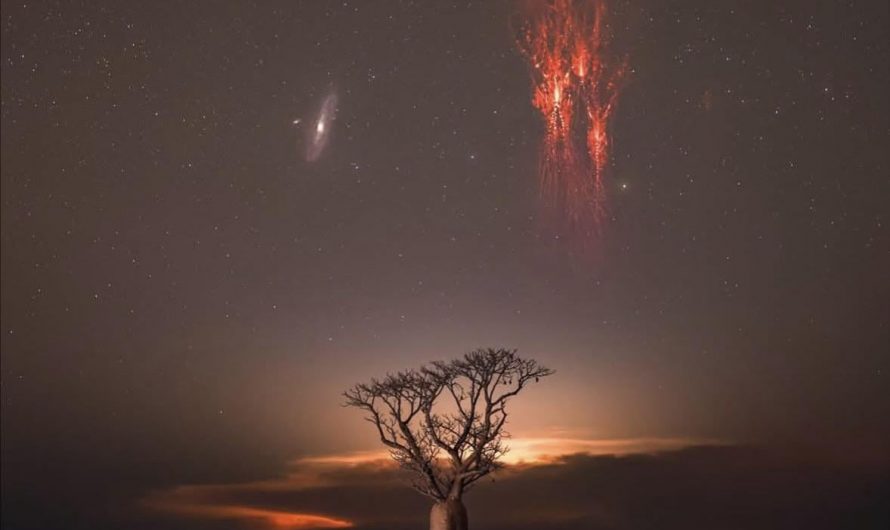 Photographer JJ Rao captures Red sprites and the Andromeda Galaxy in a single photo over Kimberley, Western Australia