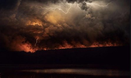 Possibly the most perfect timed Australian bushfire pic