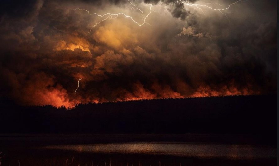 Possibly the most perfect timed Australian bushfire pic, no it’s not ai, this is genuinely how our bushfires are
