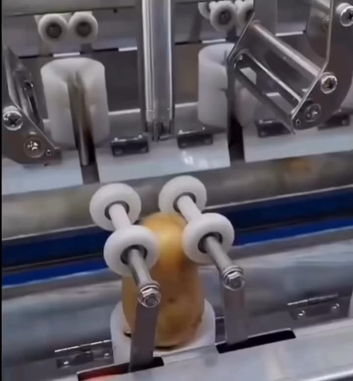 Potato peeling machine