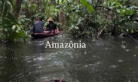 Pure Amazon on a quiet rainy day