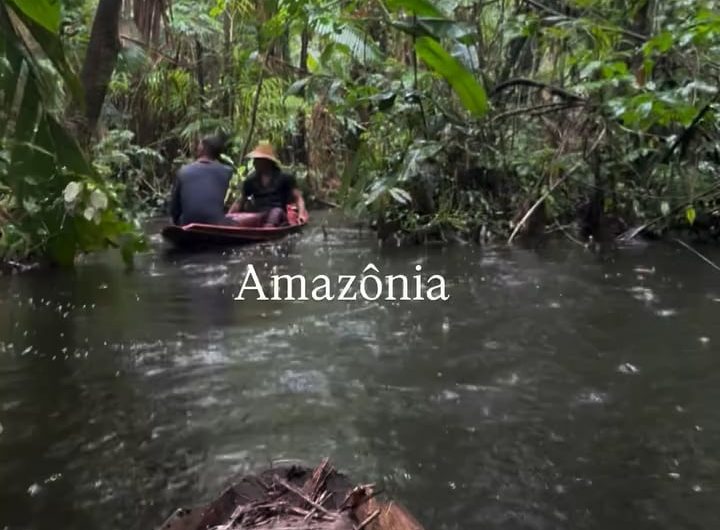 Pure Amazon on a quiet rainy day