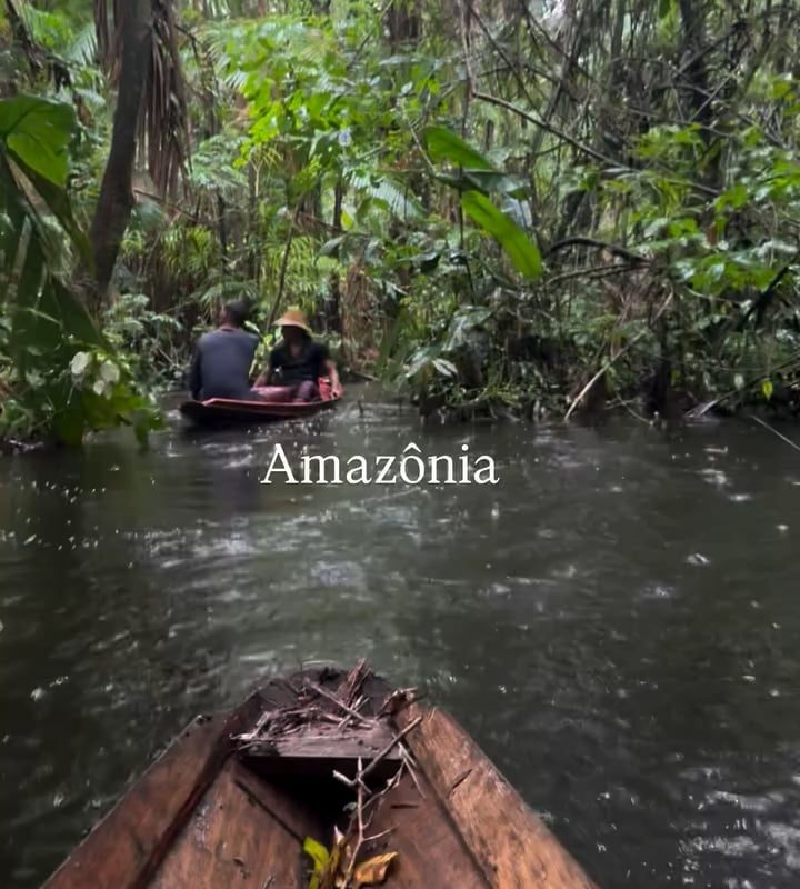 Pure Amazon on a quiet rainy day