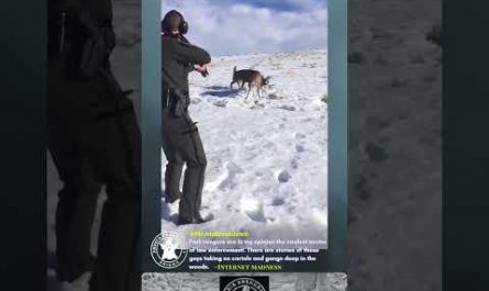 Ranger saves to antler locked bucks with shotgun