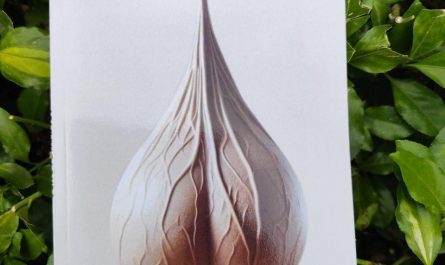 Real manual on reading the folds and wrinkles of the scrotal sac