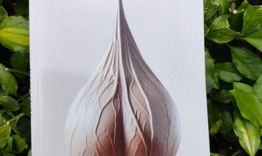 Real manual on reading the folds and wrinkles of the scrotal sac