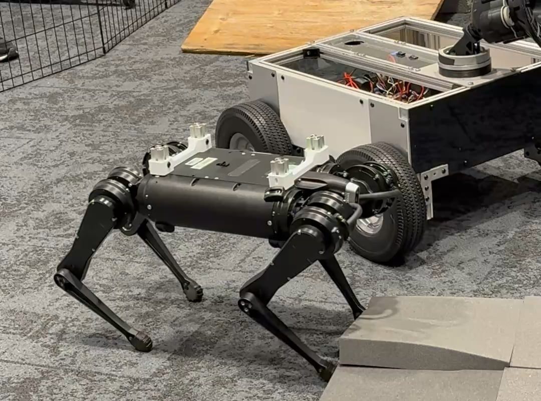 Researchers discussing using robots on rovers and it does tricks