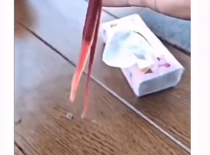 Ribbon Worm’s Secret Attack 😱🪱