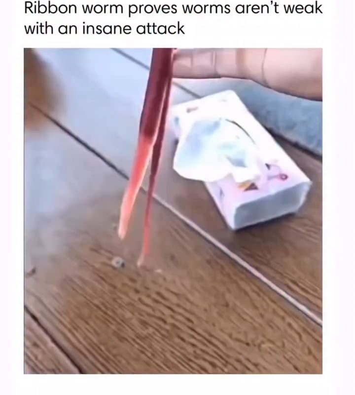 Ribbon Worm’s Secret Attack 😱🪱