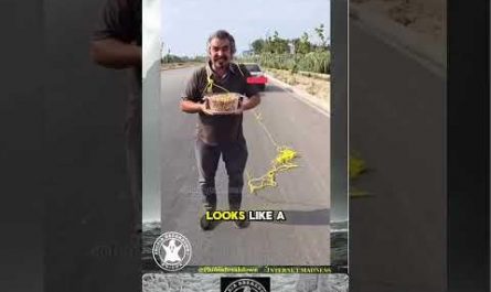 Rope stunt gone terribly wrong