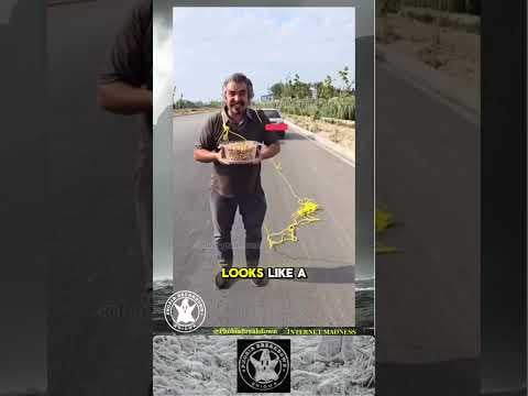 Rope stunt gone terribly wrong