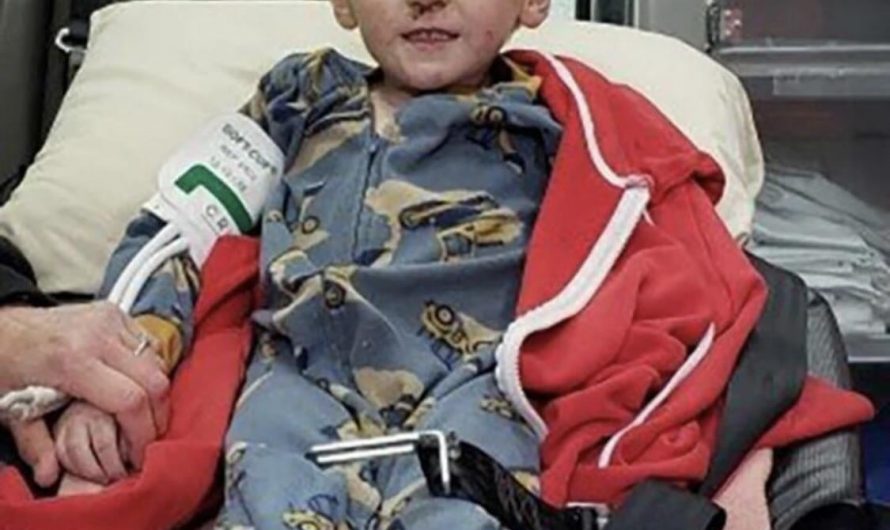 Ryker Webb, age 3, spent two days alone in the Montana woods. He was found safe in a shed two miles from home. The area is known to have bears and mountain lions.