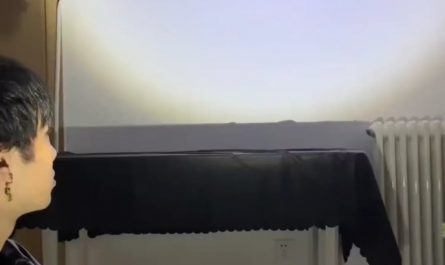 Shadow dance using hands and fingers.