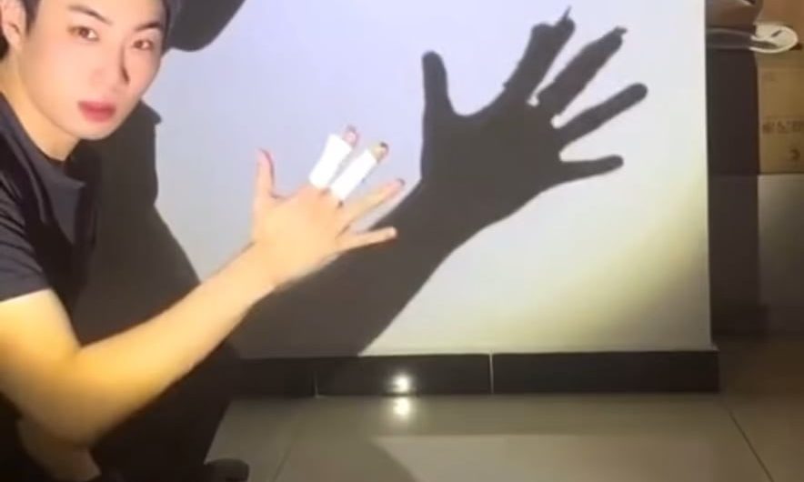 Shadow puppet dance to Michael Jackson’s “Smooth Criminal”