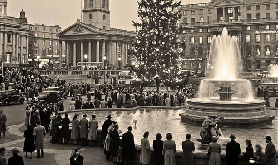 Since 1947, Norway sends a Christmas tree to London every year : a token of appreciation for Britain’s support in WW2