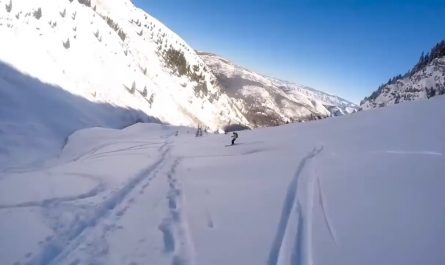 Skier survives fall off 150 foot cliff