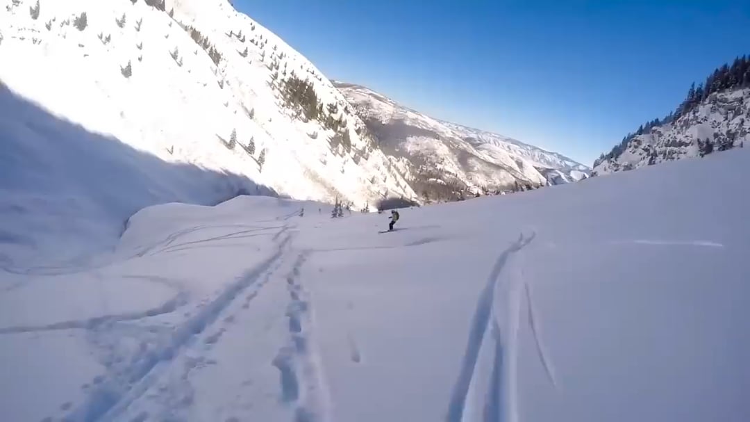 Skier survives fall off 150 foot cliff