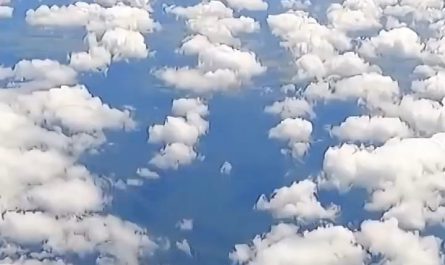 Skydiver gets parachute caught on plane