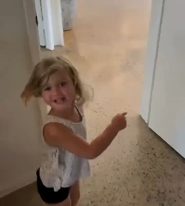 Snake in the house - Australia