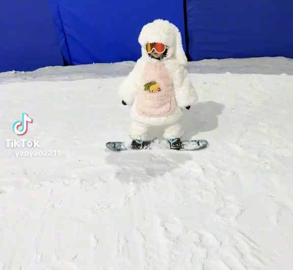 So satisfying to watch