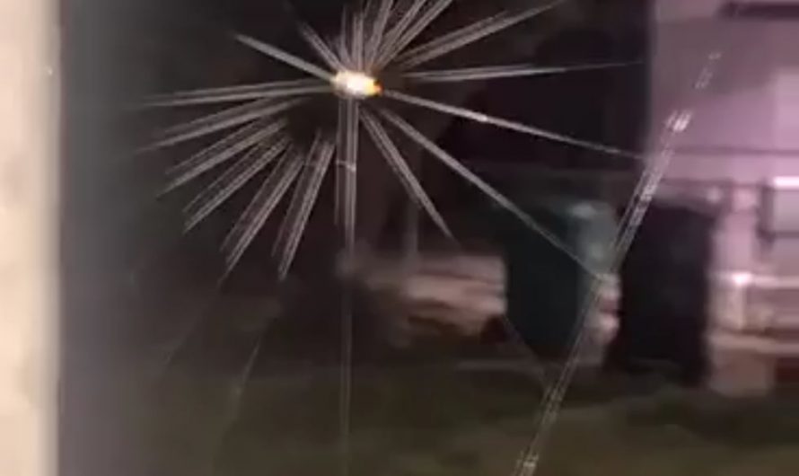 Spider making a web around it.