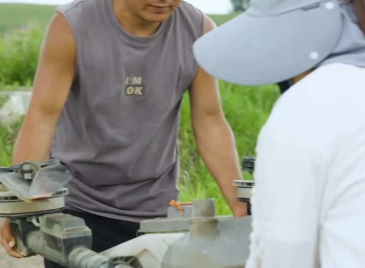 Spraying rice farms using drones