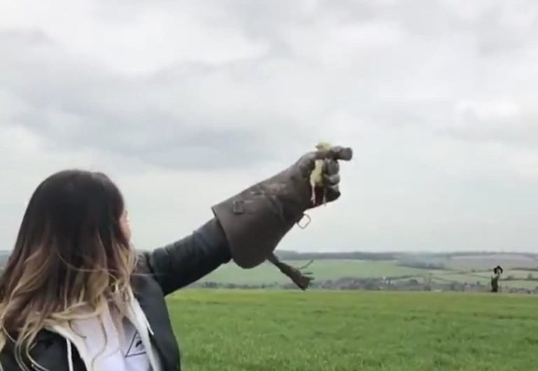 Stellar’s sea eagle is one of the world’s heaviest and one of the largest eagles, weighing between 11 to 20 lbs.