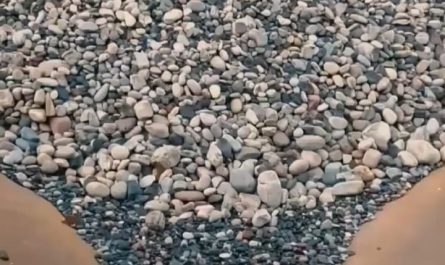 Stones on a conveyor belt