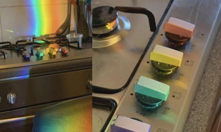 Sunlight colors align perfectly on stovetop knobs