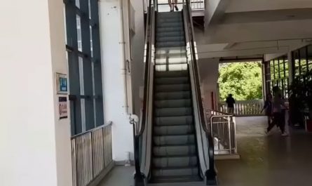 Sunlight falling on a escalator