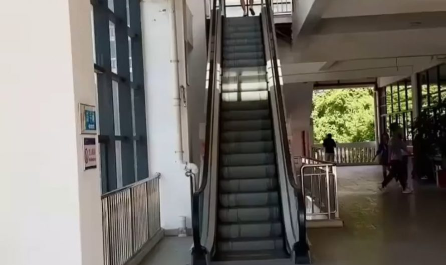 Sunlight falling on a escalator