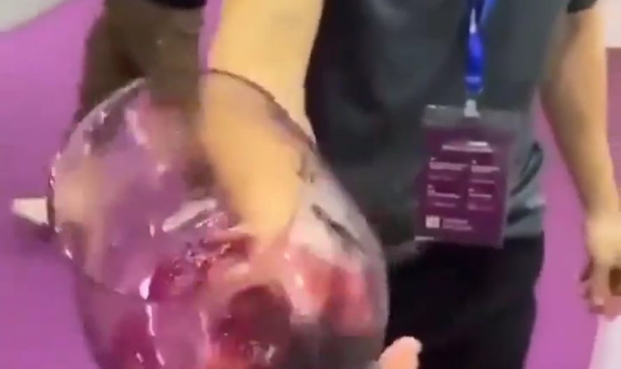 Swirling wine using a rotating wineglass