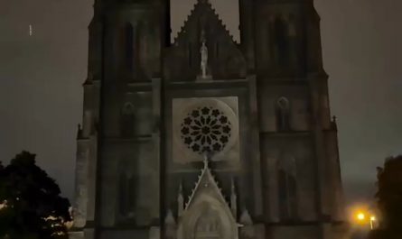 Techo at Cologne Cathedral