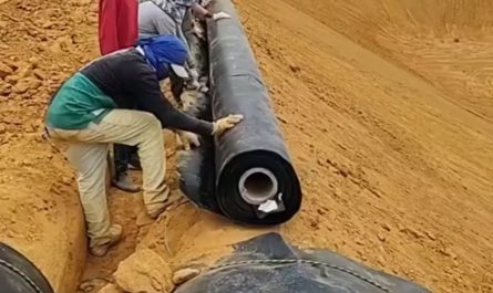 That's a mighty fine roll