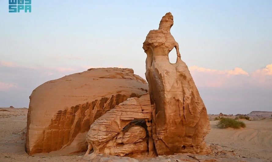 The Bride Rock, this rare geological formation resembles a bride holding out her dress amidst the sprawling desert landscape near Tayma, Saudi Arabia.