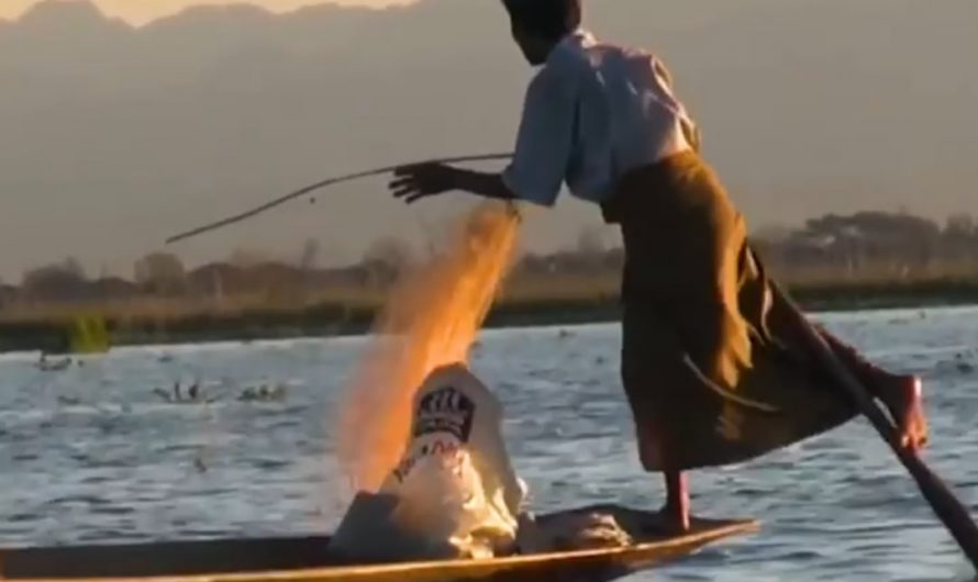 The Intha fishermen have a unique leg-rowing style
