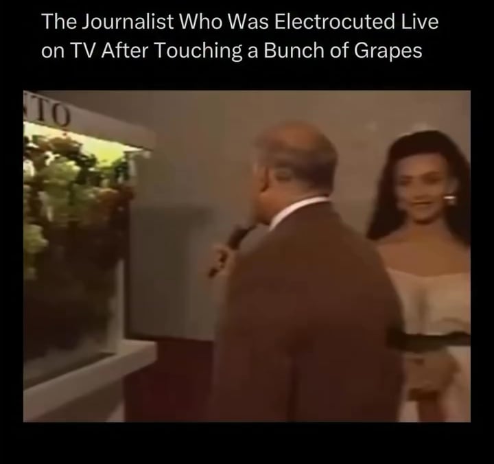 The Journalist who was electrocuted live on TV after touching a Bunch of Grapes