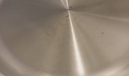 The Leidenfrost effect can be so satisfying.