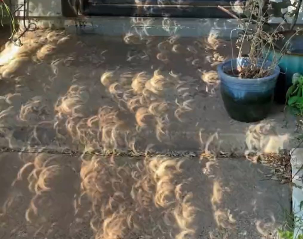 The Mesmerizing Shadows of a Solar Eclipse.
