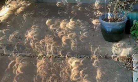 The Mesmerizing Shadows of a Solar Eclipse.