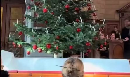 The Swiss take their Christmas tree lighting seriously