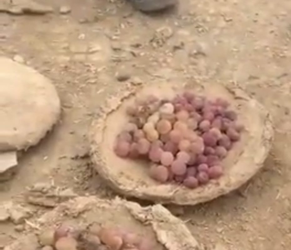 The cheapest way to preserve food . 6 months preserved grapes (still fresh)