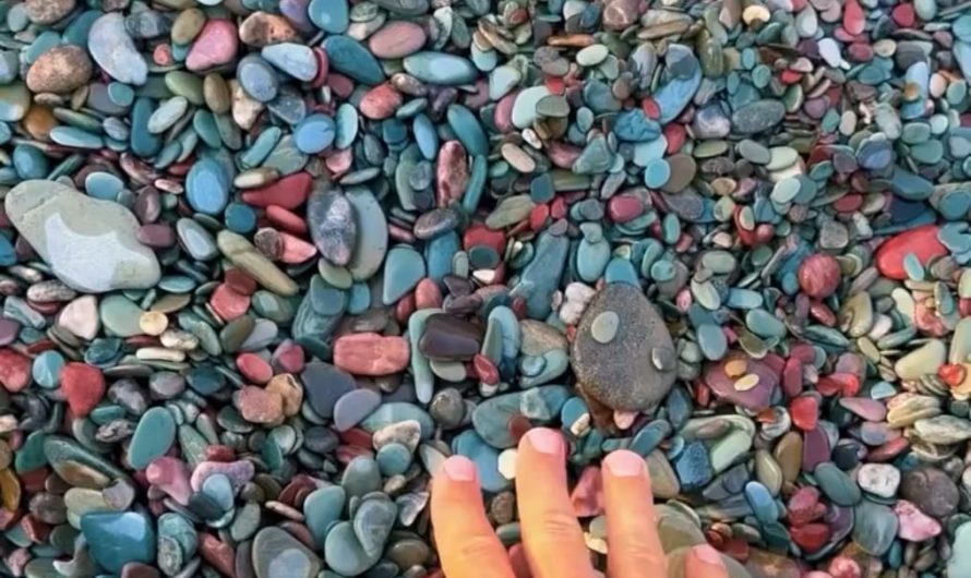 The famous Rainbow Stones of Lake McDonald, Glacier National Park