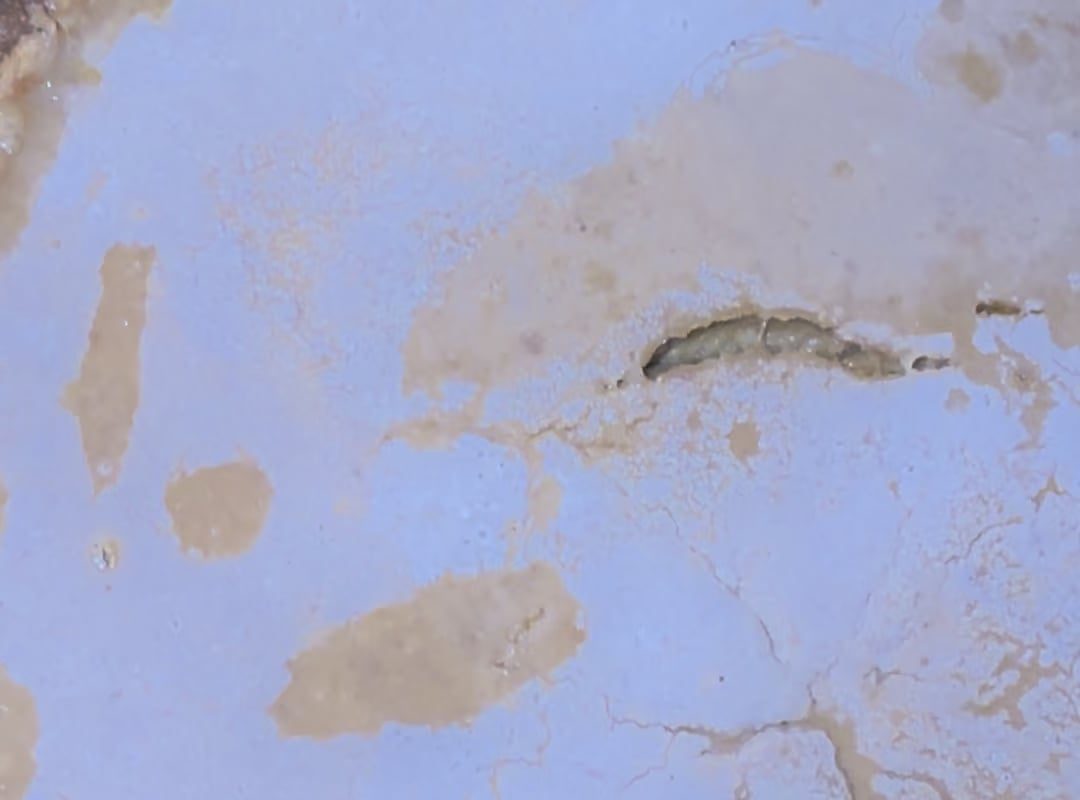 The film goes away when touched